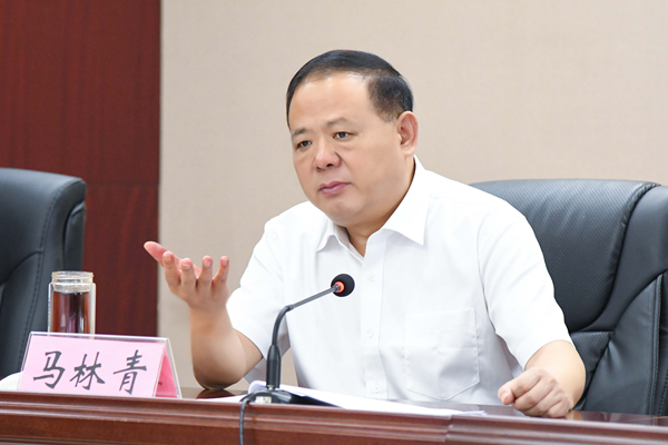 省政府食安辦主任、省市場(chǎng)監(jiān)管局書記馬林青講話