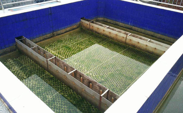 б��(��)������