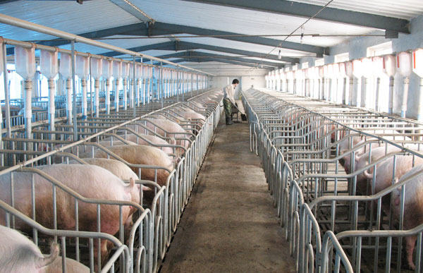 �i�����ˮ����