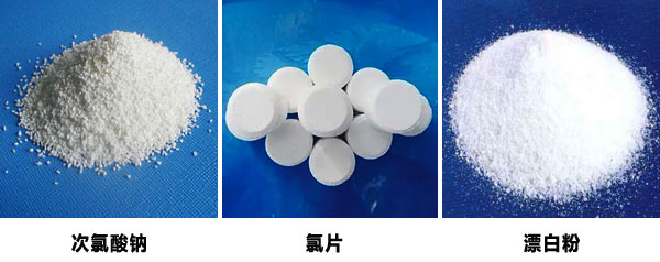 �����������������