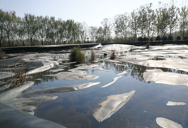 �����B�VҺ