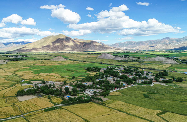 ���ذ��������r(n��ng)���ˮ�����(xi��ng)Ŀ