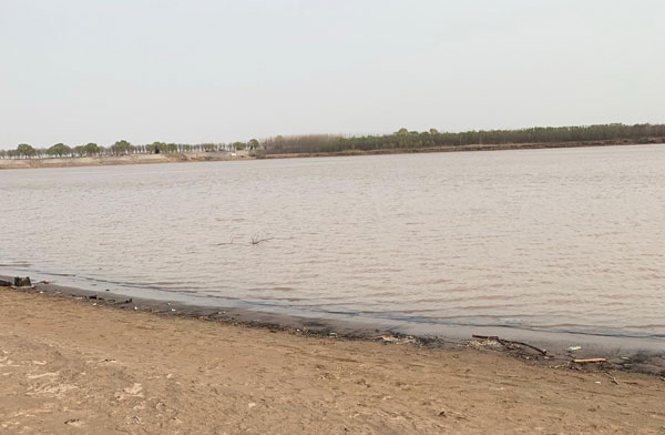 �S��ˮ̎�������a(ch��n)��ˮ�õ����ķN�O(sh��)�䣿