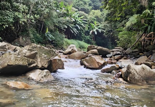 下雨河水渾濁有泥沙