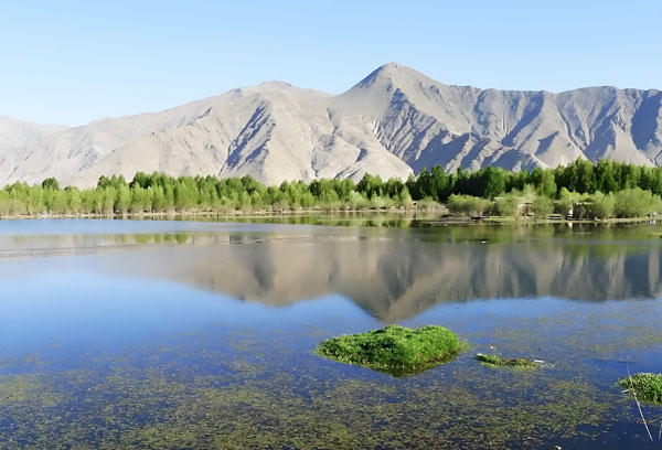 �����������(zh��n)�ˮ����������ʲô��ˮ�O(sh��)�����ˮ�|(zh��)��