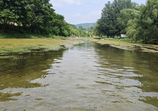 ��ˮ̎�����ԁ�ˮ