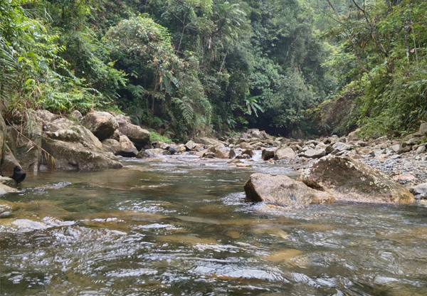 ɽȪˮ������ɳ�����̎�����ԁ�ˮ