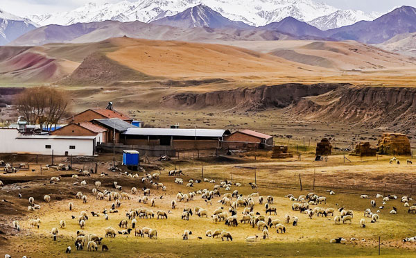 ���^(q��)�ˮ����ˮ