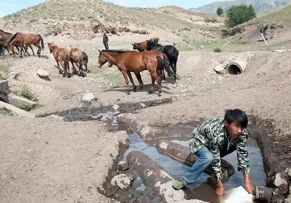 ���ذ���؅^(q��)�����ˮ�(xi��ng)Ŀ��ʲô̎����ˇ��