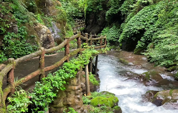 �l(xi��ng)�(zh��n)Ϫ��ˮ����ˮ����