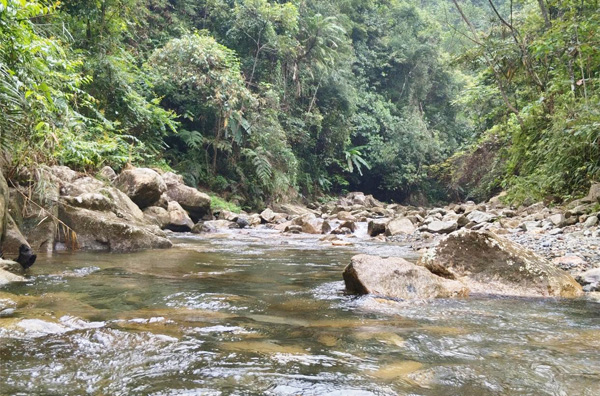 山泉水處理成自來(lái)水一般用什么工藝?